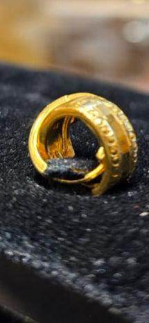 Elegant Gold-Plated Bounty Earrings – Timeless Luxury for Every Occasion - Mirpur Jewelry City